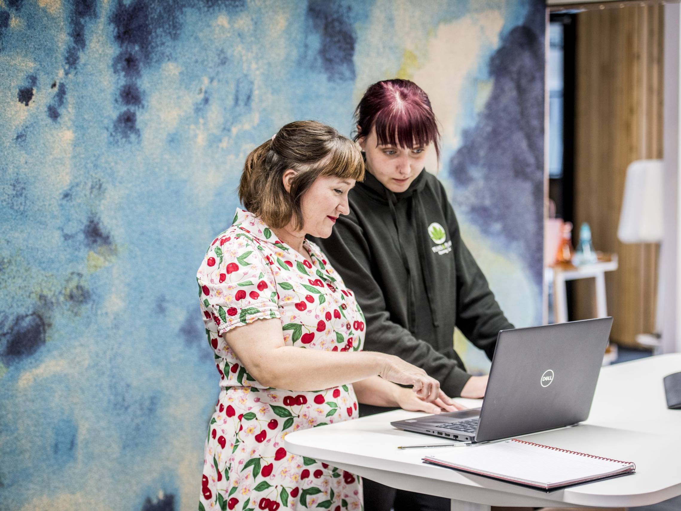 Two females looking at a laptop